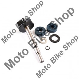 Set reparatie pompa apa Aprilia Scarabeo 125-150