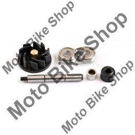 Set reparatie pompa apa Piaggio Hexagon 125