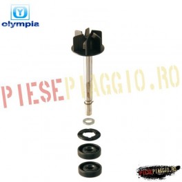 Kit pompa apa Aprilia Scarabeo 125 (Olympia)