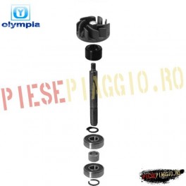 Kit pompa apa Piaggio/Gilera 125 (Olympia)