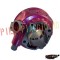 Set motor+chiuloasa Aprilia /Minarelli /Yamaha LC orizontal D.47 RDP TOP