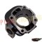 Set motor+chiuloasa Minarelli AC orizontal D.47 TOP (Motor Parts)