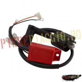CDI Piaggio NRG/Gilera Typhoon 50 avans variabil racing TOP (Motor Parts)