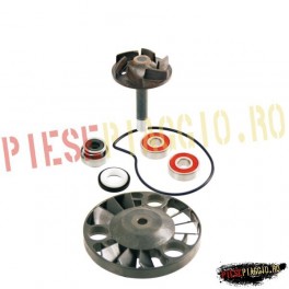 Kit pompa apa Piaggio 125/200 (Motor Parts)