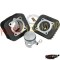 Set motor+chiuloasa Piaggio/Gilera scuter AC D.48 TOP (Motor Parts)