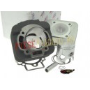 Set motor + chiulasa Piaggio/Gilera scuter AC D.48 Evolution DR (Motor Parts)