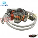 Stator aprindere Piaggio NRG/Gilera Typhoon 50 (Olympia)