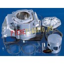 Set motor + chiulasa Rotax 123 D.60 (Polini)